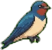 Zeichnung: Barn Swallow