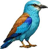 Zeichnung: European Roller
